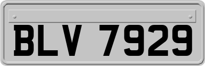 BLV7929