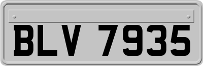 BLV7935