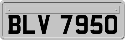 BLV7950