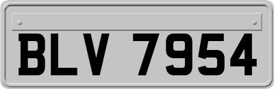 BLV7954
