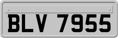 BLV7955