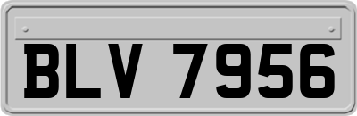 BLV7956
