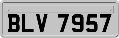 BLV7957