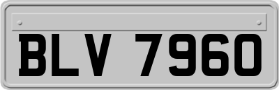 BLV7960