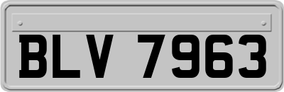 BLV7963