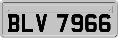 BLV7966