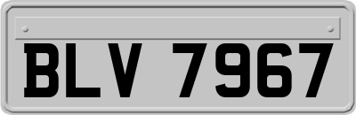 BLV7967
