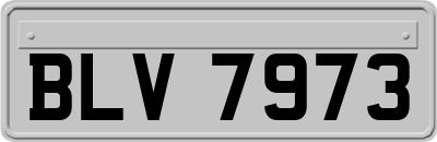 BLV7973