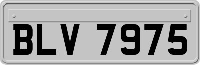 BLV7975