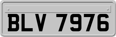 BLV7976