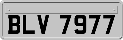 BLV7977