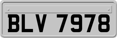 BLV7978