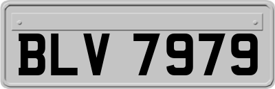 BLV7979