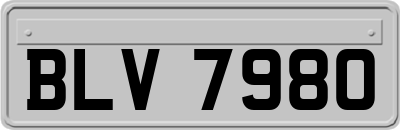 BLV7980