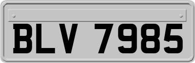 BLV7985
