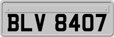 BLV8407