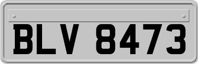 BLV8473