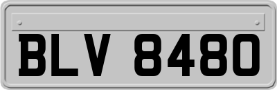 BLV8480