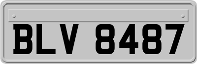 BLV8487