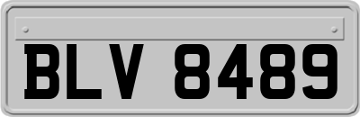 BLV8489