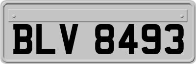 BLV8493