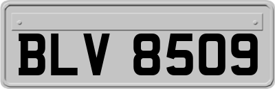 BLV8509