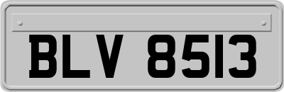 BLV8513