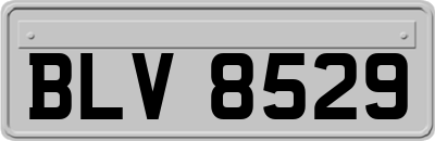 BLV8529