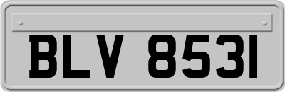 BLV8531