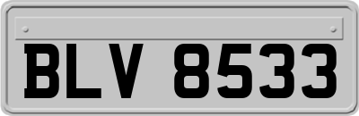 BLV8533