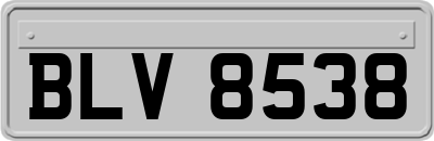 BLV8538