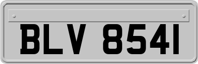 BLV8541