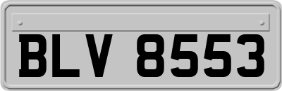 BLV8553