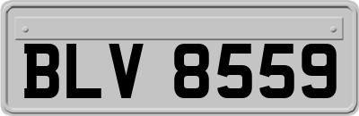 BLV8559