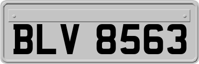 BLV8563