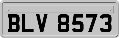 BLV8573