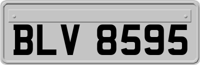 BLV8595