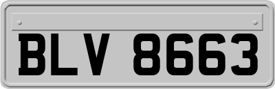 BLV8663