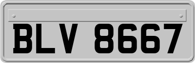 BLV8667