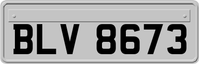 BLV8673