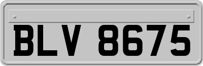 BLV8675