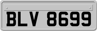 BLV8699