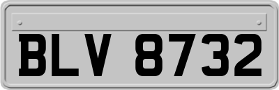 BLV8732