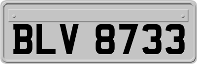 BLV8733