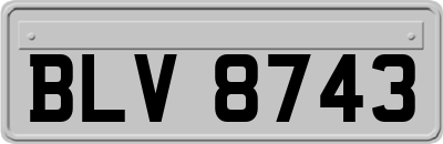 BLV8743