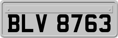 BLV8763
