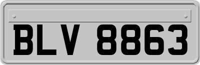 BLV8863
