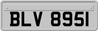 BLV8951