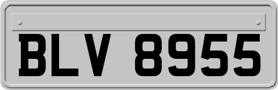 BLV8955