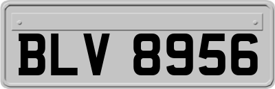 BLV8956